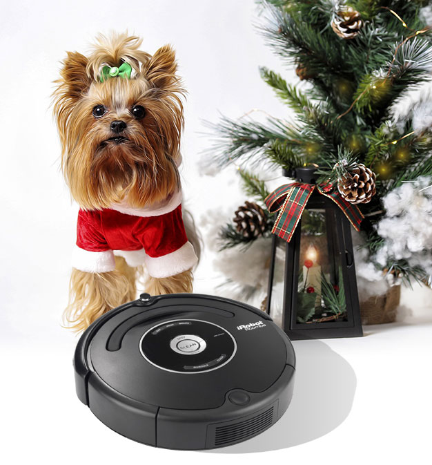 Perro y Roomba en Navidad